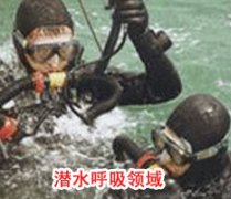 成功91免费短视频网站